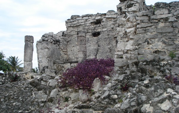 Mexico – Tulum Ruins